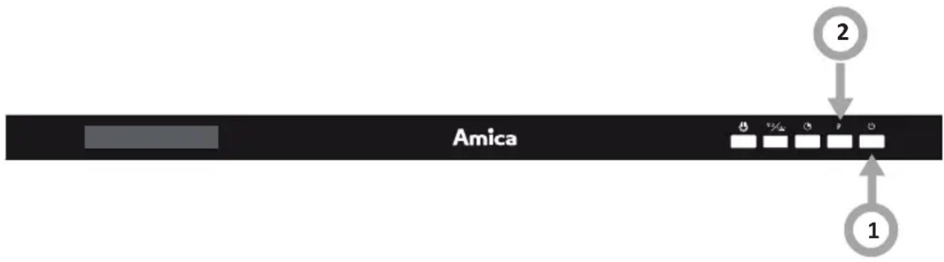 Amica 2 1