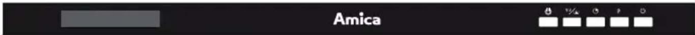 Amica