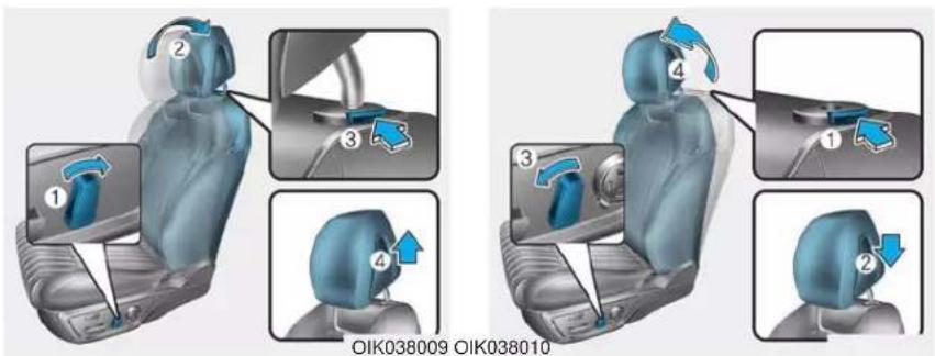 OIK038009 OIK038010