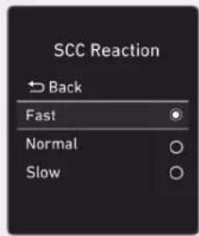 SCC Reaction Back Fast Normal Slow