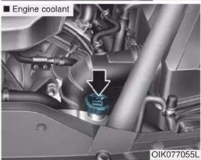 ■ Engine coolant OIK077055L