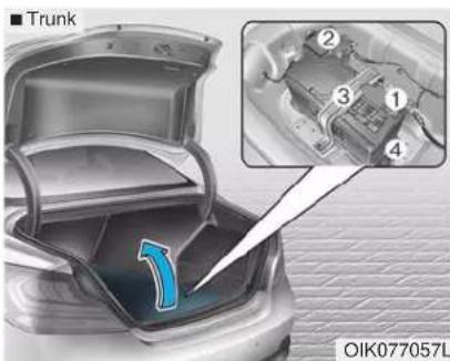Trunk 2 3 1 4 OIK077057L