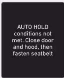 AUTO HOLD conditions not met. Close door and hood, then fasten seatbelt