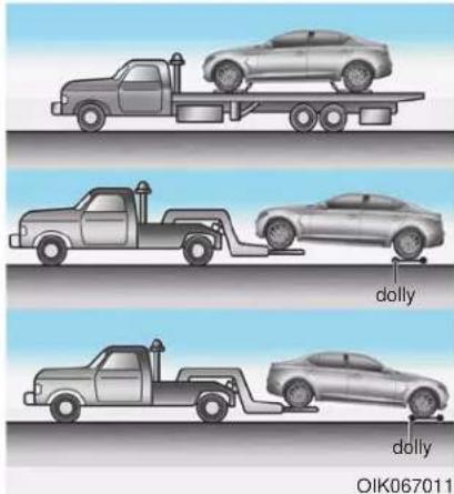 dolly dolly OIK067011