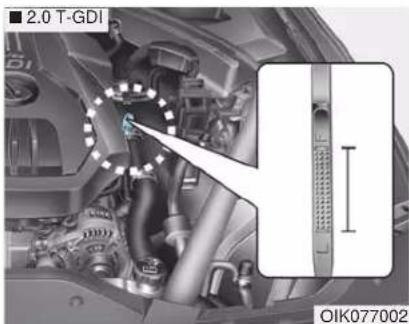 2.0 T-GDI OIK077002