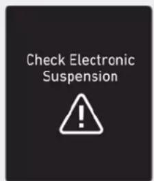 Check Electronic Suspension