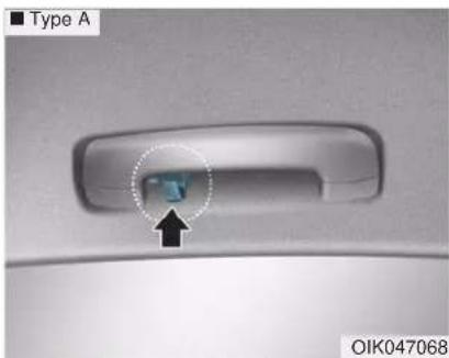 Type A OIK047068