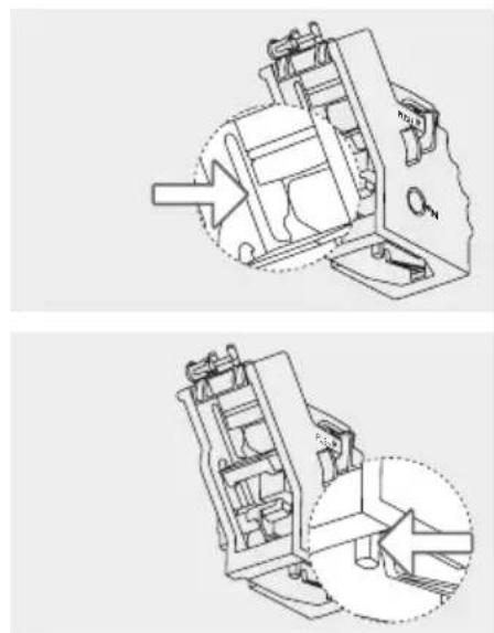 GAGGIA Anima Deluxe - Lubrificazione mensile del gruppo caffè (un ciclo di pulizia con uso di lubrificante) - 1