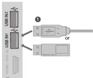 LG 50PK750N - USB SETUP - 1