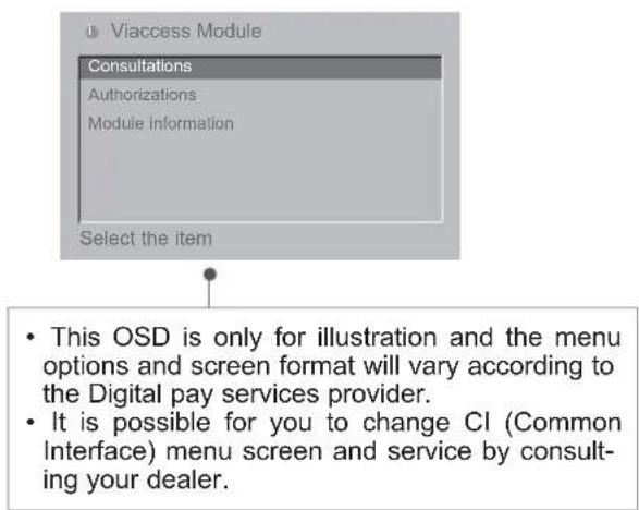 LG 42LX6900 - CI [COMMON INTERFACE] INFORMATION - 2