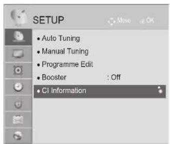LG 55LX950N - CI [COMMON INTERFACE] INFORMATION - 1