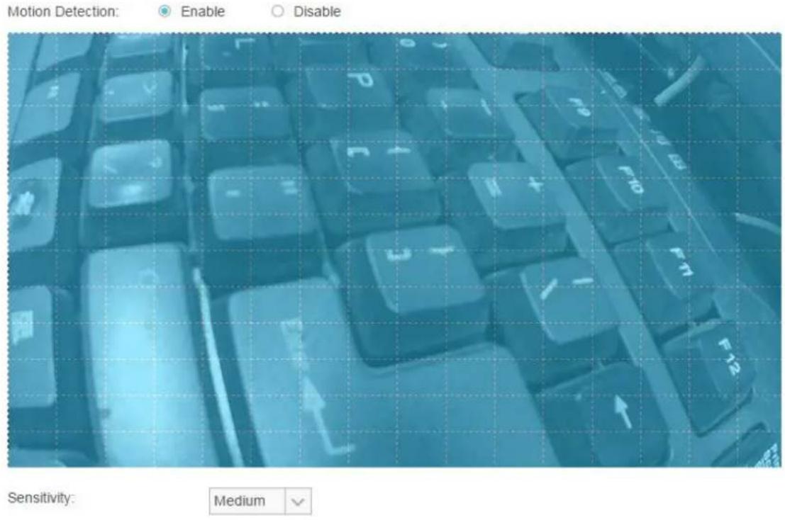 Motion Detection: Enable Disable Sensitivity: Medium