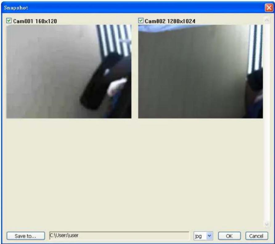 Snapshot Cam001 160x120 Cam002 1280x1024 Save to... C:\Users\user jpg OK Cancel