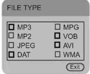 FILE TYPE □ MP3 □ MPG □ MP2 □ VOB □ JPEG □ AVI □ DAT □ WMA Exit