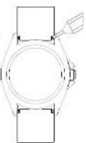 AURIOL IAN 114434 - Changing the watch band - 1