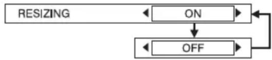 PANASONIC PT-LB51NTU - RESIZING - 1