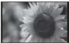 SONY DPF-A700 - Slideshow display - 1