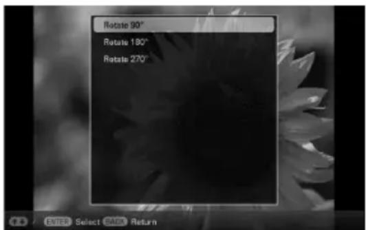 Rotate 90° Rotate 180° Rotate 270°