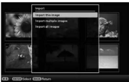 Import Import this image Import multiple images Import all images