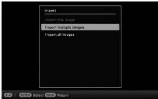 Import Import this image Import multiple images Import all images