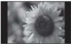 SONY DPF-A700 - Single view mode (single image display) - 1
