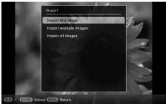 Import Import this image Import multiple images Import all images