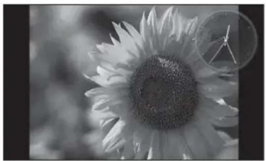 SONY DPF-A700 - Enjoying a slideshow - 2