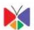 ACTi ENR-110 - Trademarks - 1
