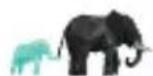 Connect IT CMO-3570 - Disposal in other countries outside the European Union - 3