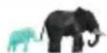 Connect IT CMO-3570 - Disposal in other countries outside the European Union - 5