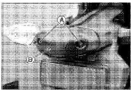 KAWASAKI Z900 (2016) - License Plate Light Bulb Replacement - 1