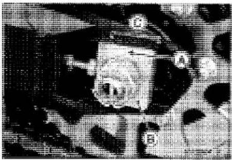 KAWASAKI Z900 (2016) - Drive Chain Wear Inspection - 3