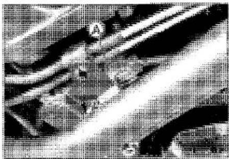 KAWASAKI Z900 (2016) - NOTICE - 1