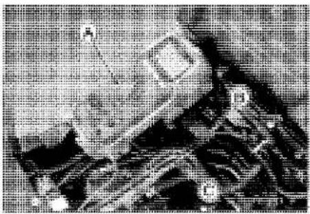 KAWASAKI Z900 (2016) - Crankshaft Sensor Peak Voltage - 1