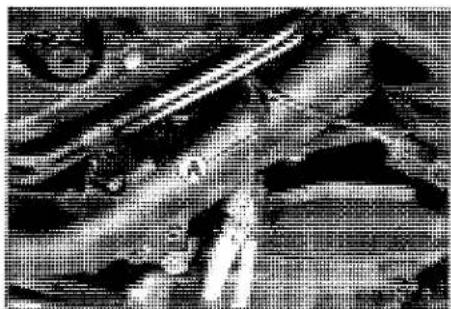 KAWASAKI Z900 (2016) - Subthrottle Sensor Resistance - 1