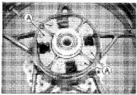 KAWASAKI Z900 (2016) - Coupling Damper Inspection - 1