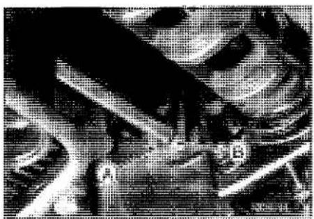 KAWASAKI Z900 (2016) - Oil Pump Drive Gear Installation - 2