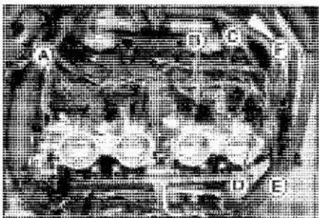 KAWASAKI Z900 (2016) - NOTICE - 1