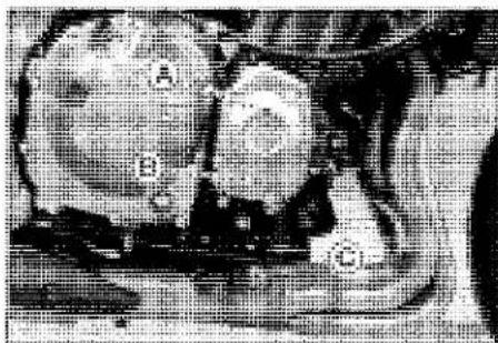 KAWASAKI Z900 (2016) - Parts Location - 1