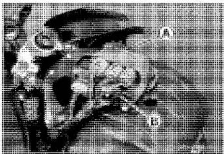 KAWASAKI Z900 (2016) - Parts Location - 2