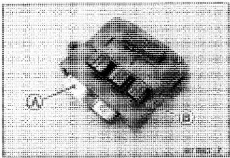 KAWASAKI Z900 (2016) - ECU Power Supply Inspection - 3