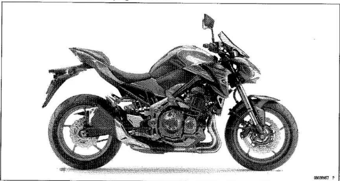 KAWASAKI Z900 (2016) - Model Identification - 2