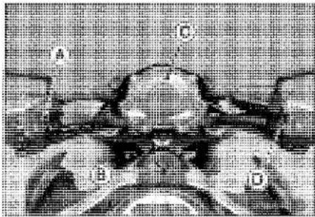 KAWASAKI Z900 (2016) - Parts Location - 4