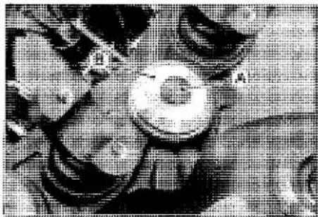 KAWASAKI Z900 (2016) - Stem, Stem Bearing Removal - 1