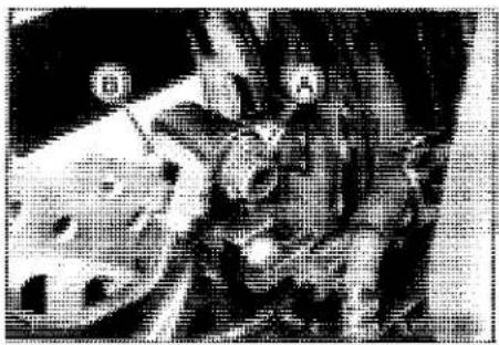 KAWASAKI Z900 (2016) - Rear Caliper - 1