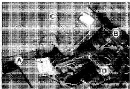 KAWASAKI Z900 (2016) - Crankshaft Sensor Peak Voltage - 2