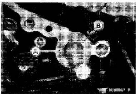 KAWASAKI Z900 (2016) - External Shift Mechanism Inspection - 3