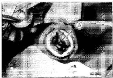 KAWASAKI Z900 (2016) - Blank Key Detection (Service Code 36, Equipped Models) - 1