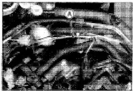 KAWASAKI Z900 (2016) - Vehicle-down Sensor Output Voltage Inspection - 2