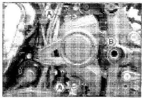 KAWASAKI Z900 (2016) - Engine Sprocket Installation - 1